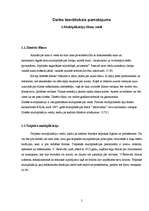 Referāts 'Multiplikācijas filmu vardarbīgā ietekme uz jaunāko skolas vecumu bērniem', 5.