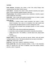 Referāts 'Multiplikācijas filmu vardarbīgā ietekme uz jaunāko skolas vecumu bērniem', 30.