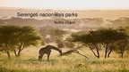 Prezentācija 'Serengeti Nacionālais parks', 1.