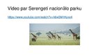 Prezentācija 'Serengeti Nacionālais parks', 7.