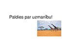 Prezentācija 'Serengeti Nacionālais parks', 10.