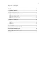 Prakses atskaite 'SIA "Kopija"', 6.