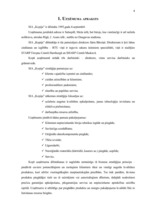 Prakses atskaite 'SIA "Kopija"', 8.