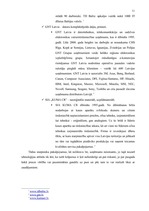 Prakses atskaite 'SIA "Kopija"', 15.