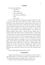 Prakses atskaite 'SIA "Kopija"', 16.