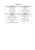 Prakses atskaite 'SIA "Kopija"', 17.