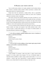 Prakses atskaite 'SIA "Kopija"', 18.