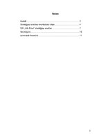 Referāts 'SIA "Info Būve" stratēģijas analīze', 2.