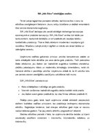 Referāts 'SIA "Info Būve" stratēģijas analīze', 7.