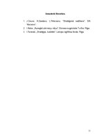 Referāts 'SIA "Info Būve" stratēģijas analīze', 11.