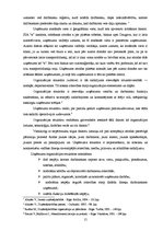 Diplomdarbs 'SIA "X" saimnieciskās darbības analīze', 17.