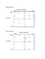 Konspekts 'Ārējās vides iespēju un draudu analīzes tabula, iespēju un draudu matricas', 4.