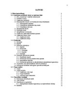 Biznesa plāns 'SIA "Launadziņi" biznesa plāns', 2.