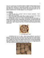 Biznesa plāns 'SIA "Launadziņi" biznesa plāns', 8.