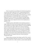 Referāts 'Kārļa Ulmaņa 1934.gada 15.maija apvērsums', 2.