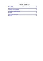 Referāts 'Nefinanšu investīciju dinamika', 4.