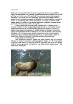 Referāts 'Staltbriedis', 1.