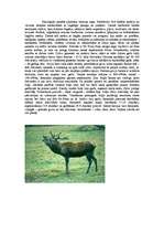 Referāts 'Staltbriedis', 2.