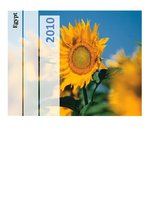 Referāts 'Egypt', 1.