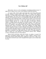 Eseja 'Kas Ir Baltijas ceļš?', 1.