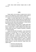 Referāts 'Zemgales reģions', 32.