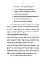 Referāts 'Zemgales reģions', 33.