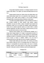 Referāts 'Zemgales reģions', 41.