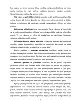 Diplomdarbs 'Nepilngadīgo lietu inspektoru dienesta loma un darbība Valsts policijā Rīgas reģ', 21.