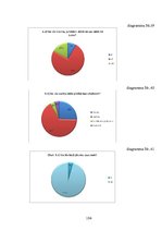Diplomdarbs 'Nepilngadīgo lietu inspektoru dienesta loma un darbība Valsts policijā Rīgas reģ', 104.