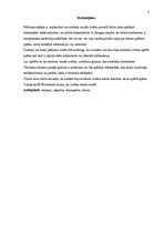 Referāts 'Studentu atkarība no datorspēlēm', 3.