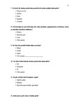 Referāts 'Studentu atkarība no datorspēlēm', 17.