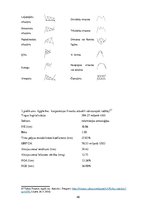 Diplomdarbs 'Vērtspapīru portfeļa veidošana un novērtēšana', 48.