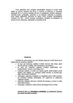 Referāts 'Veiksmīgas uzņēmējdarbības pamati', 6.