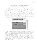 Referāts 'Starptautiskie pasažieru pārvadājumi Rīga – Hamburga – Rīga', 21.