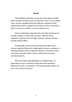 Konspekts 'Koka izstrādājuma kompozīcija. Aprakstošā daļa Sēžamais', 3.