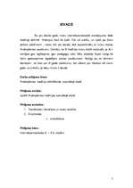 Referāts 'Andrejdienas tradīcija speciālajā skolā', 3.