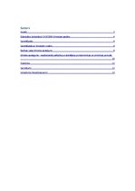 Referāts 'Etiķa esences izraisītie bojājumi cilvēka organismā', 2.