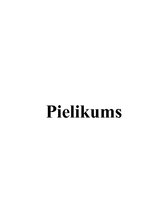 Referāts 'Cilvēki ar kustību traucējumiem Latvijas sabiebrībā', 33.