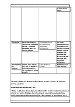 Paraugs 'Pārbaudes darbs kulturoloģijā', 4.