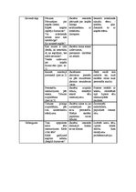 Konspekts 'Integrētās nodarbības 3.klasei', 2.