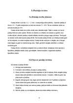 Referāts 'Dzīvokļa ekoloģija un cilvēka veselība', 13.