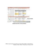 Prakses atskaite 'Mūzikas terapijas desmit sesiju plāns insulta pacientam', 4.