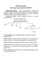 Referāts 'Produkta "Matrix" pieprasījuma izpēte', 5.