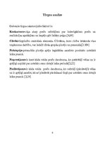 Referāts 'Produkta "Matrix" pieprasījuma izpēte', 7.