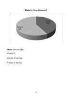 Referāts 'Produkta "Matrix" pieprasījuma izpēte', 9.