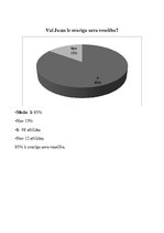 Referāts 'Produkta "Matrix" pieprasījuma izpēte', 20.