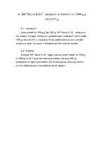 Referāts 'Finansiālā analīze uzņēmumam SIA "Sports&Co"', 13.