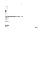 Referāts 'Mārketinga organizācija SIA "Daugavpils viesnīcā "Latvija""', 29.