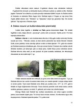 Referāts 'Baldones pilsēta ar lauku teritoriju', 10.