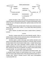 Referāts 'Faktori, kas nodrošina bērnu personības attīstību veselumā', 3.